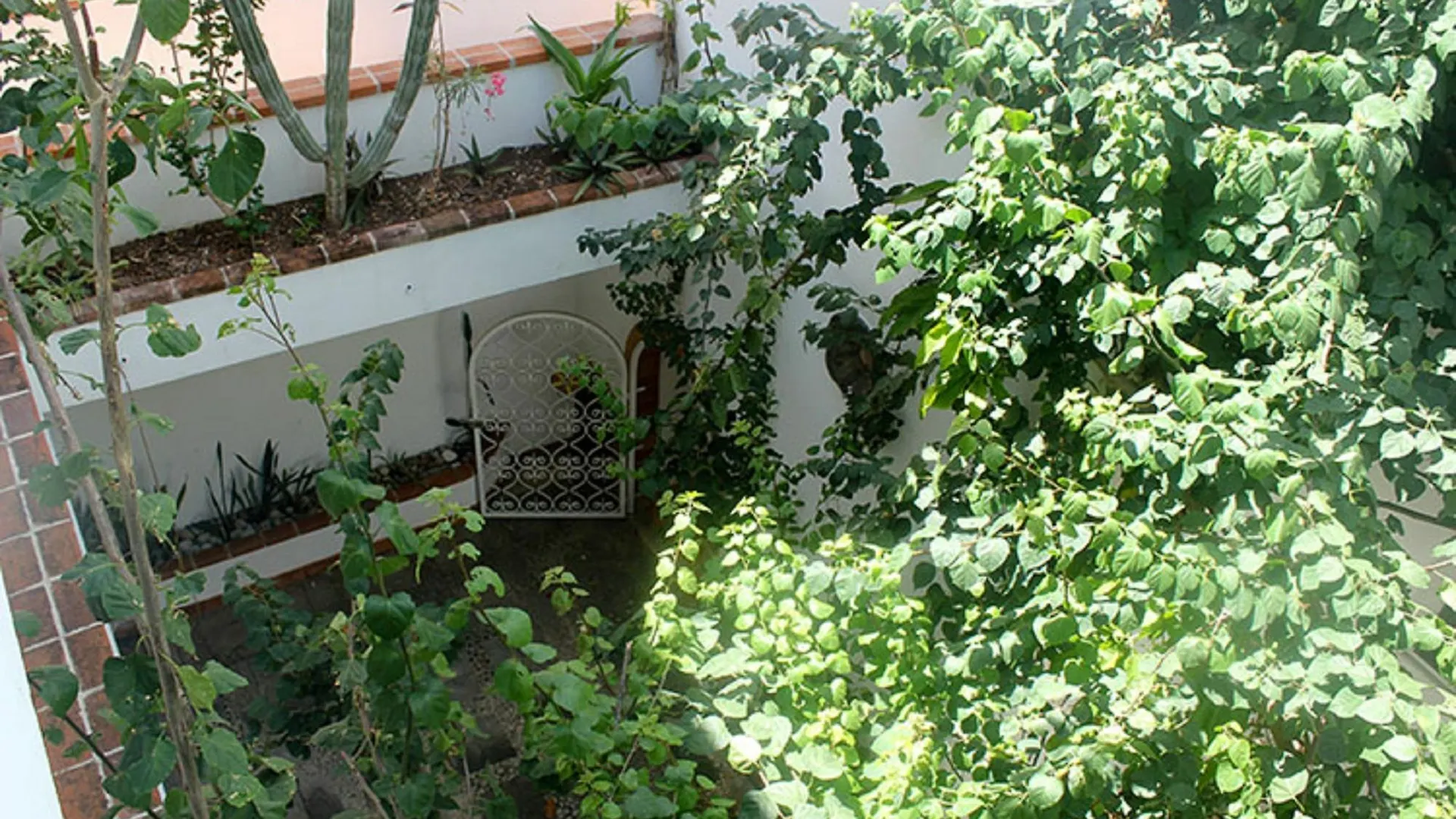 *** Hotel La Armonia Suites Playa del Carmen Mexico